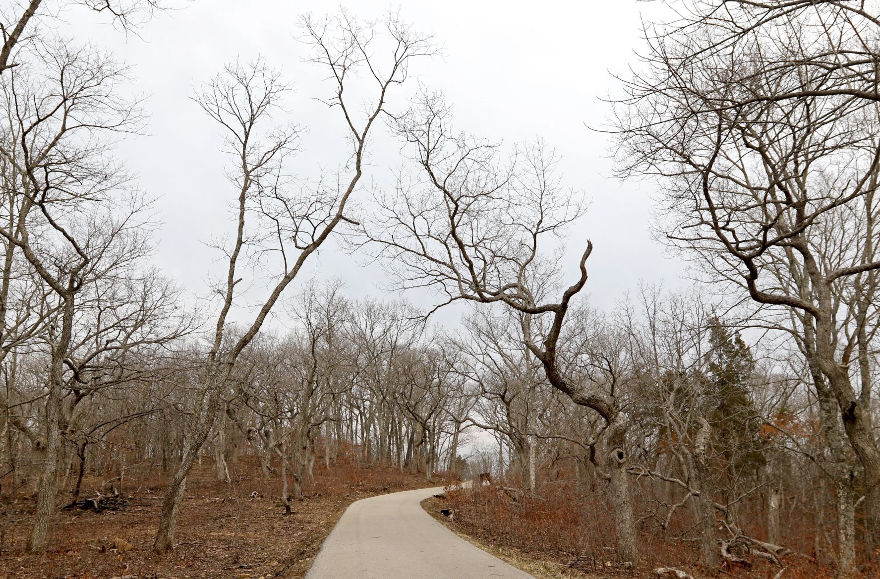 Best winter hikes in the St. Louis area
